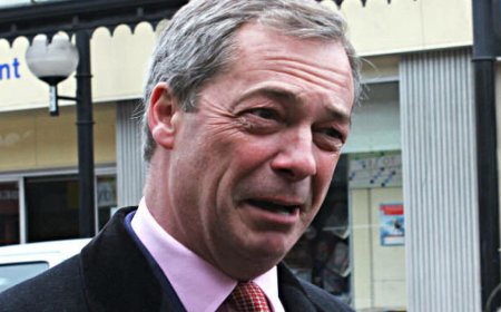 Experts pour cold borscht on Farage's Russian hack claim