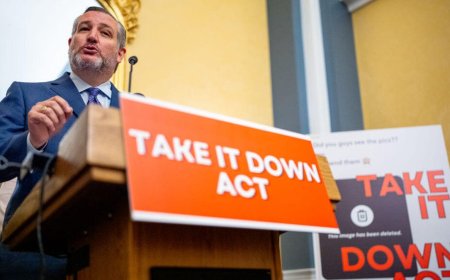 How to Remove Nonconsensual Intimate Images Under the Take It Down Act