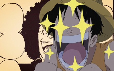 After 19 Years, One Piece Finally Solves A Major Straw Hat Mystery