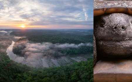 Photographer Documents the Vanishing Wildlife of the ‘American Amazon’