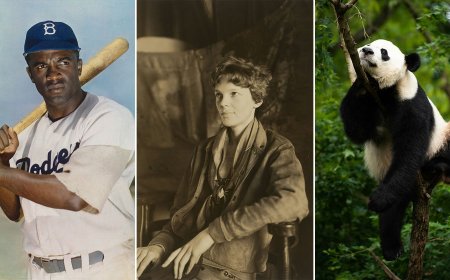15 of the Best Photos Smithsonian Just Added to Unsplash for Free