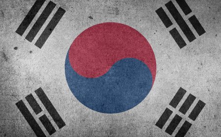 South Korea Prosecutes First-Ever DEX Rug Pull Scheme Involving CATFI Meme Token
