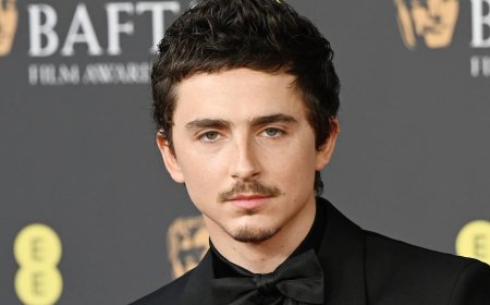 Timothée Chalamet’s Most Divisive Movie Yet Is Quietly Taking Over Streaming