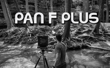Don't Miss This Beautiful New Large Format Film