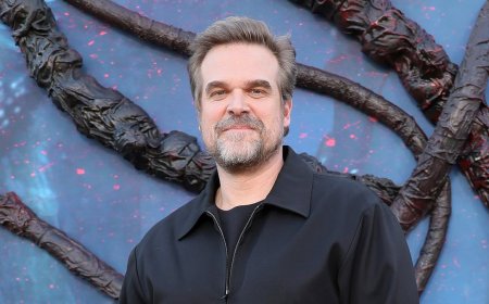 David Harbour reunites with Stranger Things co-stars seven months after skipping show's finale sendoffs