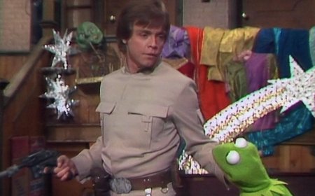 Mark Hamill's 1980 Muppet Show episode predicted Star Wars' future
