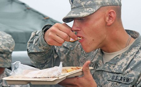 The future of Army rations? US investigates 'alternative protein technologies' to keep soldiers fed in the field — hopefully it will be more appealing than it sounds