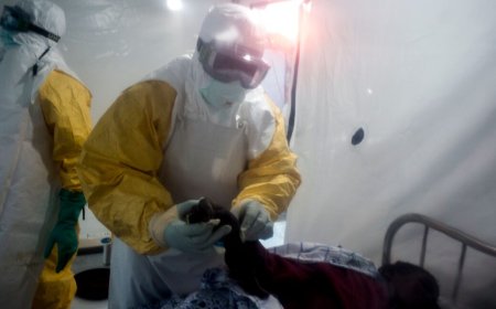 Ebola outbreak with uncommon strain erupts in Congo and Uganda; 65 deaths
