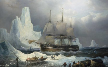 DNA identifies four more crew members of doomed Franklin expedition