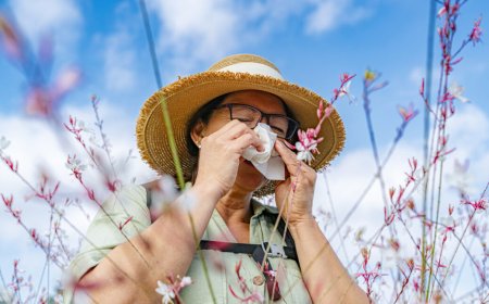 How climate change makes your allergies worse