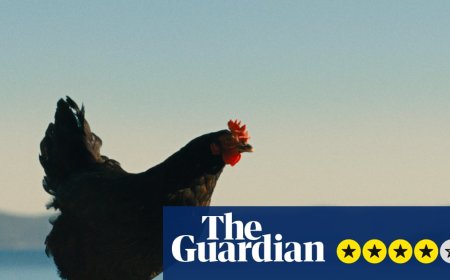 Hen review – plucky chicken beats the odds in weirdly uplifting survival story