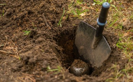 macOS 27 threatens to bury Time Capsule, FOSS brings a shovel