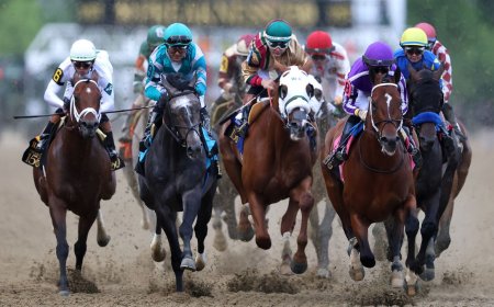 How to watch Preakness Stakes 2026: live stream horse racing online from anywhere