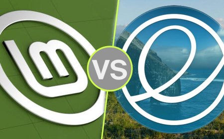 Linux Mint vs. Elementary OS: I compared both distros, and here's my advice