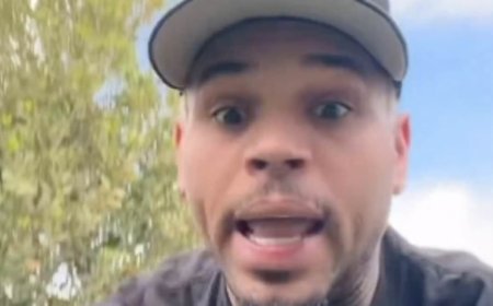 Chris Brown goes into meltdown over abysmal viral album reviews and lashes out at Zara Larsson after she labelled him an 'abuser'