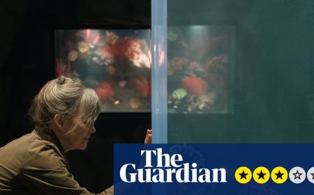 Remarkably Bright Creatures review – Sally Field bonds with octopus in gentle Netflix charmer