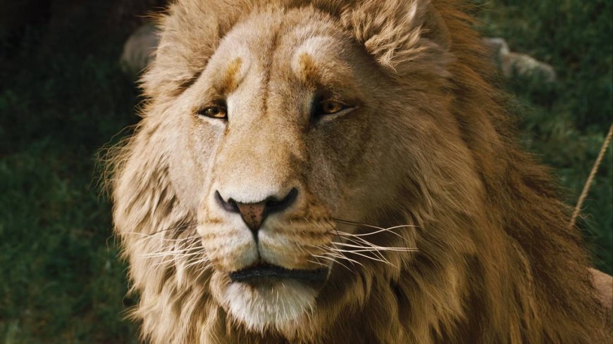 Netflix's Narnia: The Magician's Nephew delayed to 2027