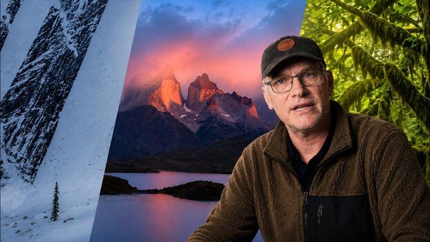 The Case Against Chasing Epic: Why Your Local Forest Might Be Your Best Subject