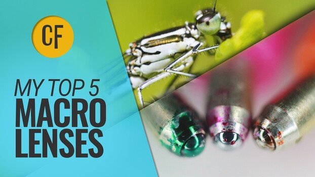 The 5 Best Macro Lenses You Can Buy Right Now, According to One Photographer Who's Tested Them All
