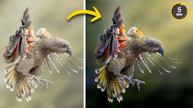 How to Make Your Subject Pop Using Lightroom and Photoshop