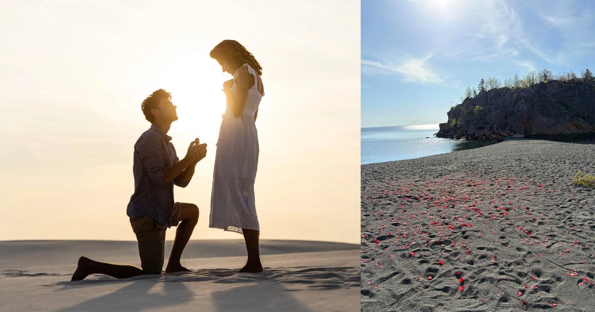 Photographer Cleans Up Hundreds of Plastic Rose Petals Left Behind on Beach