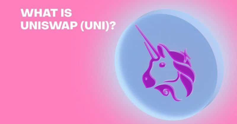 Uniswap network activity surges as whale transactions hit 7-month high