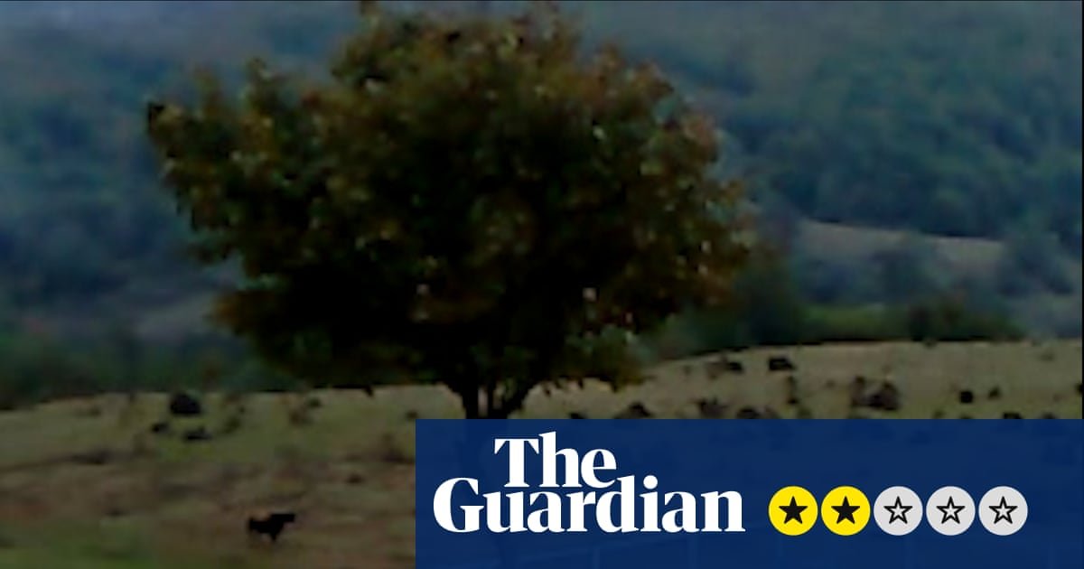 Dry Leaf review – three-hour amble around the football pitches of Georgia in search of a daughter