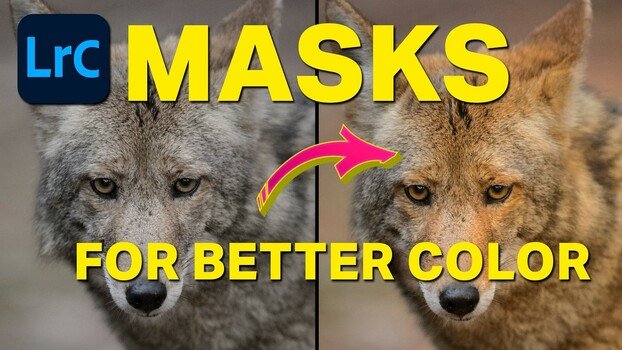 Three Images, Three Masking Strategies: Color Control in Lightroom Classic