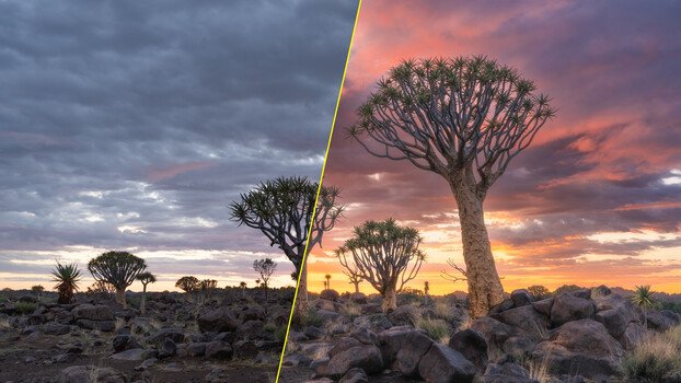 Chasing the Light: Tips for Dramatic Landscapes