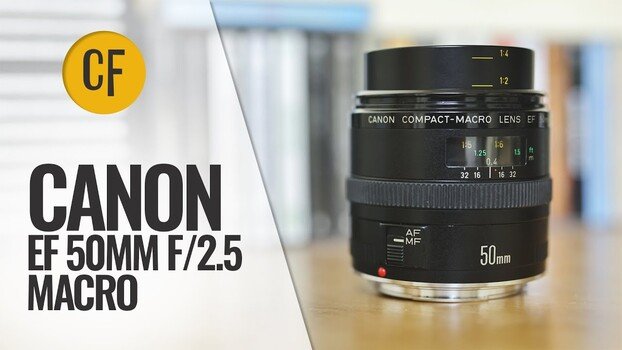 The Canon EF 50mm f/2.5 Compact Macro Is 40 Years Old. Here's How It Holds Up.