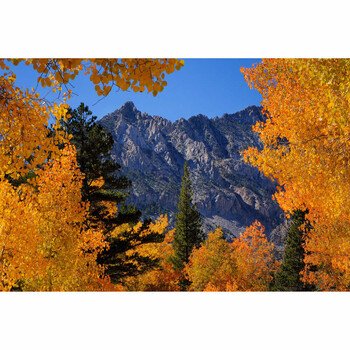 How to Choose Between APS-C and Full Frame as a Beginner