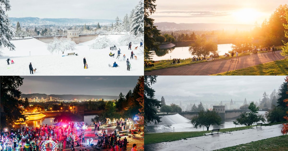 Photographer Has Been Shooting the Same Park in Portland for the Last Four Years