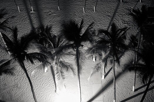The Problem With Paradise
