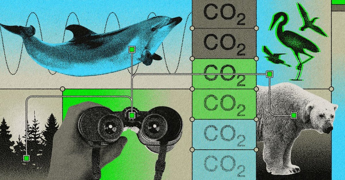 How a Citizen Science Organization Aims to Preserve the Places It Brings Tourists to Study