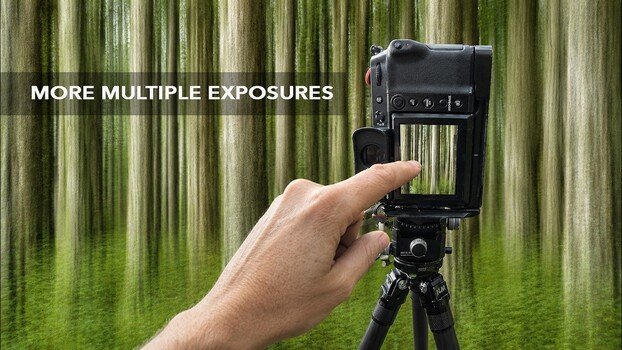 The In-Camera Multiple Exposure Technique That Turns Forest Photos Into Abstract Art
