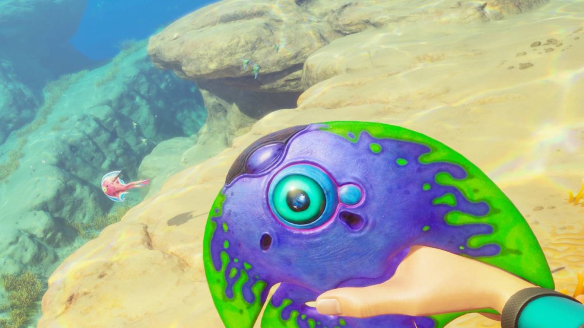 How to get food in Subnautica 2
