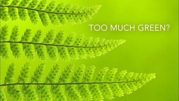 How to Shoot the 'Boring' Green Season and Actually Get Keepers
