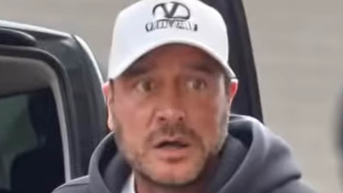 Katie Price's husband Lee Andrews likes various spoof videos mocking his 'secret hair transplant' and 'kidnapping' saga after new AI 'do goes viral