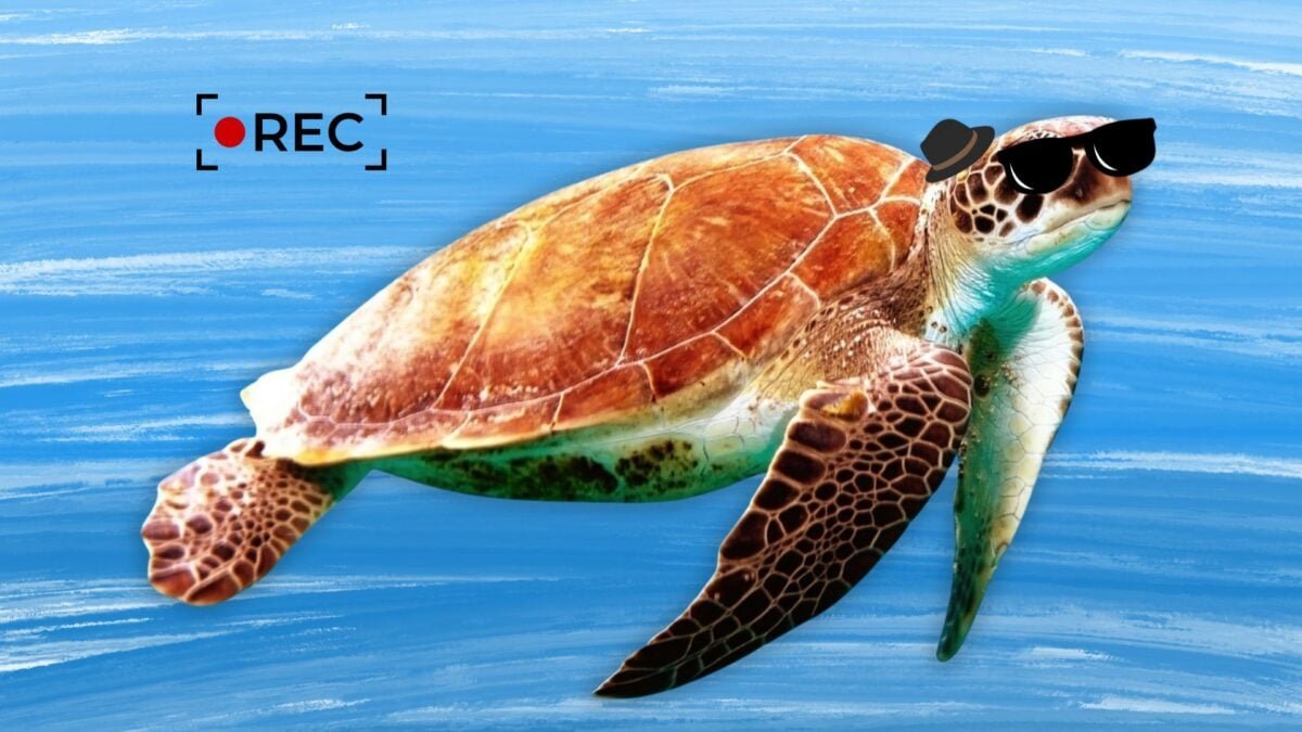 China’s Ministry of State Security Accuses ‘Spy Turtles and Spy Fish’ of Stealing Sensitive Marine Data