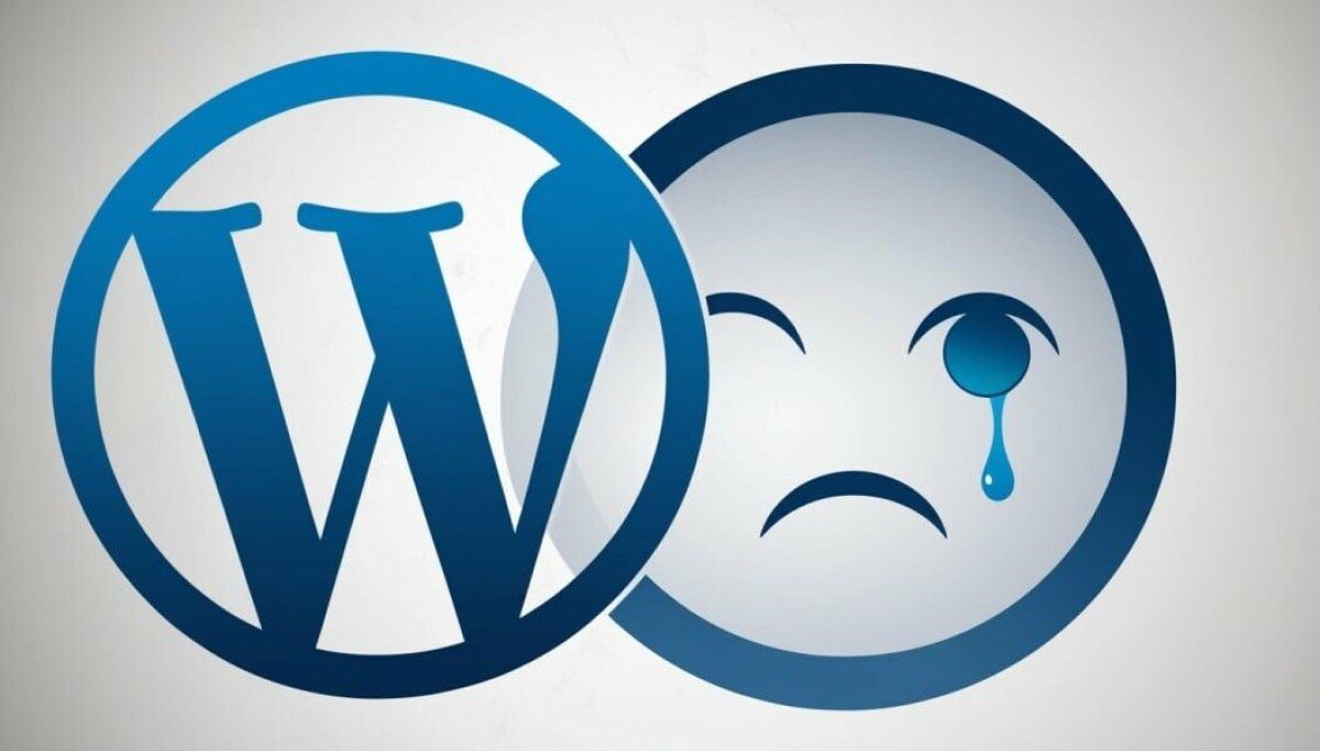Automattic's CMS empire shows cracks as WordPress share falls
