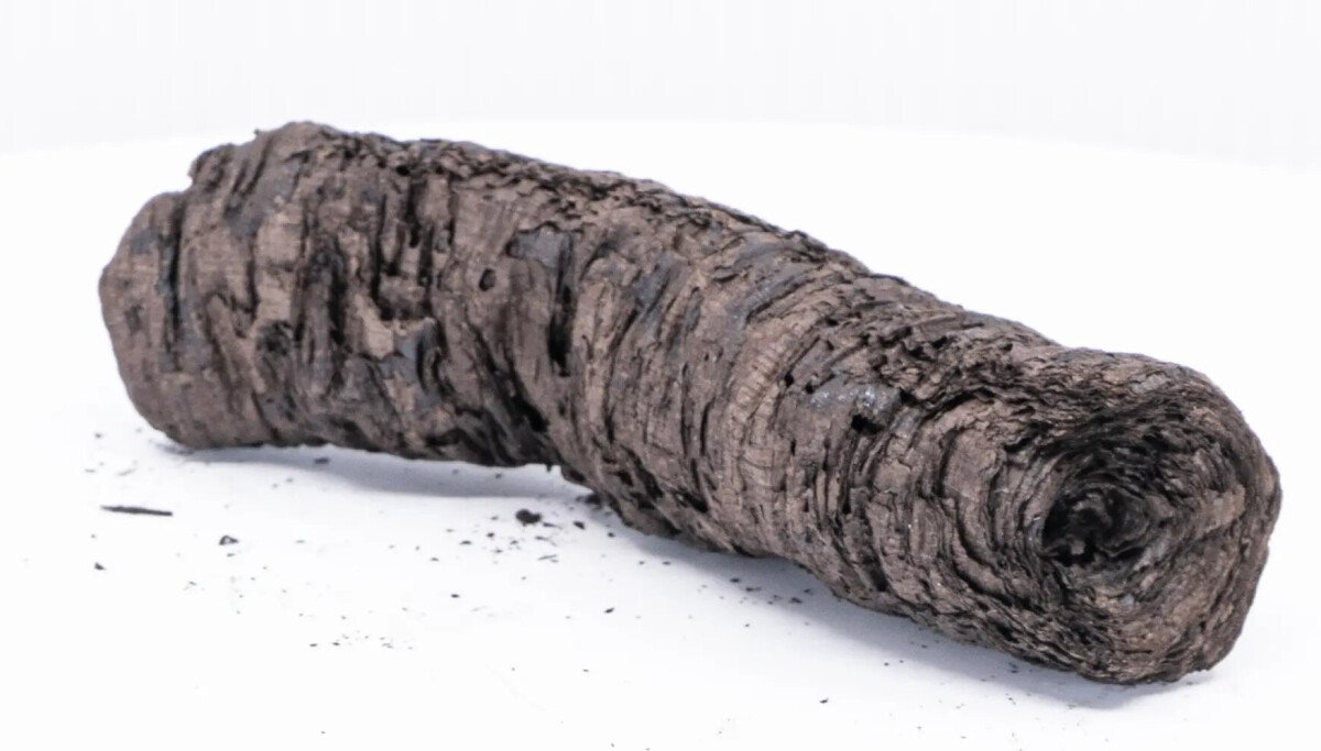 They read the scroll thing! AI helps decipher ancient document charred by Vesuvius