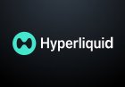 Hyperliquid (HYPE) 5-Year Price Forecast: Analyzing the Path to 2031