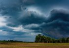 5 disaster-prep tips I've learned after decades of bushcrafting