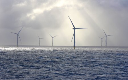 Trump admin abandons fight against wind energy as clean energy output surges