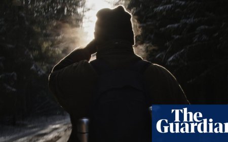 The Guest review – the risks of protecting refugees in the Poland-Belarus danger zone