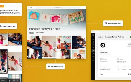 Why VSCO Believes Its New $500 Subscription Is Worth it for Pros