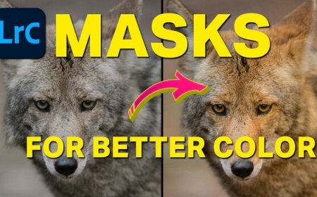 Three Images, Three Masking Strategies: Color Control in Lightroom Classic