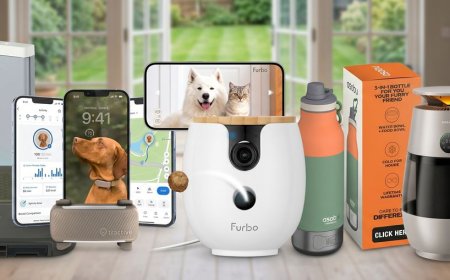 9 dog-care gadgets that are so clever they deserve a treat — including an ingenious on-the-go water solution and a 'canine FitBit'