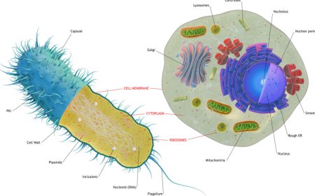 The first complex cells had genes from a complex mix of species