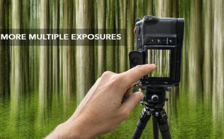 The In-Camera Multiple Exposure Technique That Turns Forest Photos Into Abstract Art